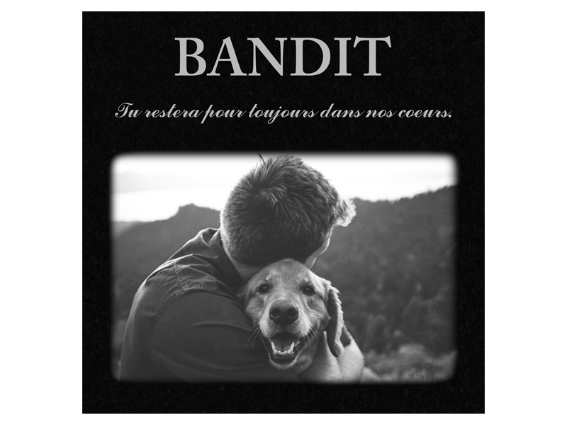 Bandit le chien Golden retriever avec son maître - Monuments pour animaux - Les Monuments Roger Fontaine