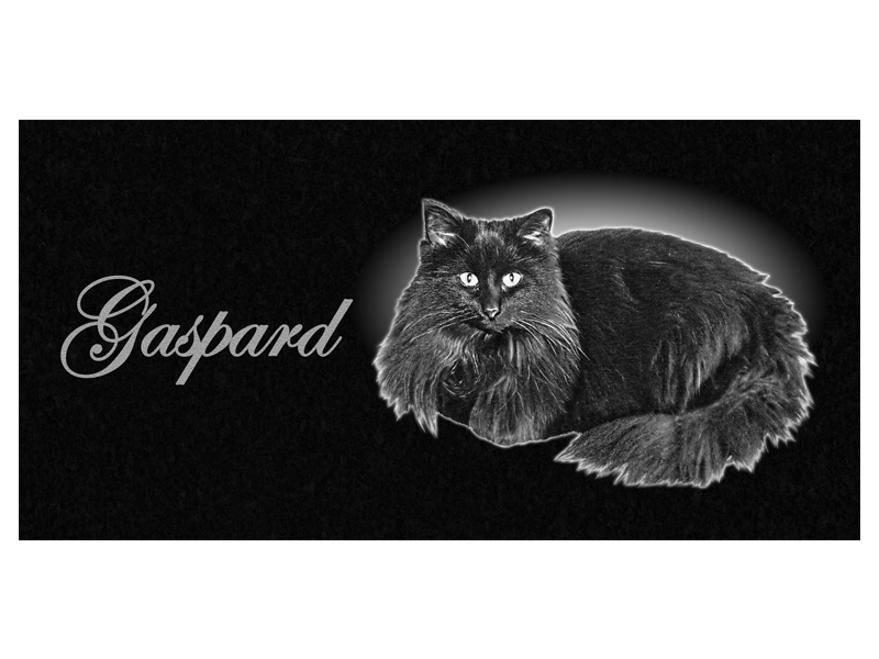 Gaspard - Chat couché - Monuments pour animaux - Les Monuments Roger Fontaine