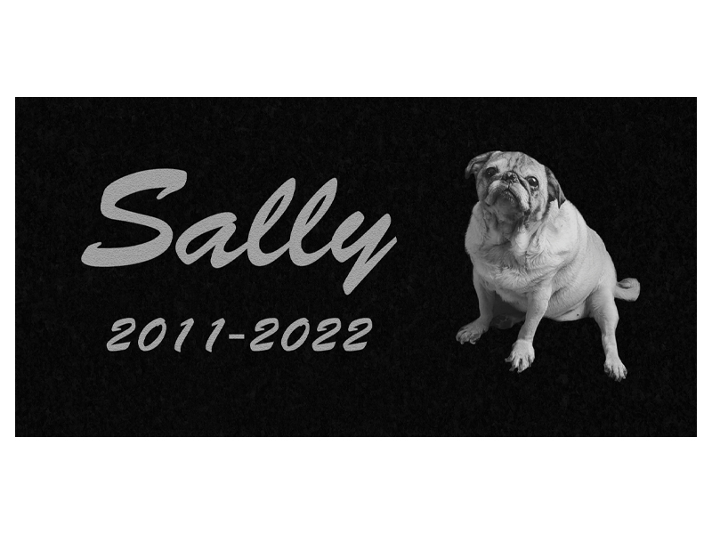 Sally - Chien Pug assis - Monuments pour animaux - Les Monuments Roger Fontaine